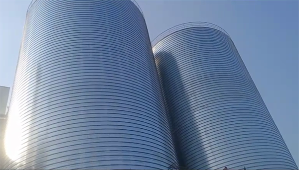 庆阳2座混凝土高架卷板仓